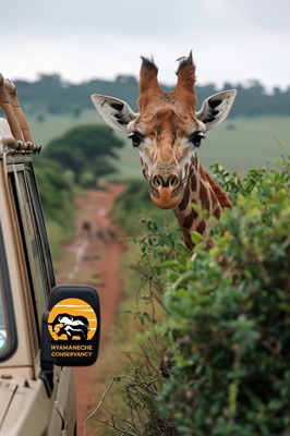 Nyamaneche Conservancy landscape view