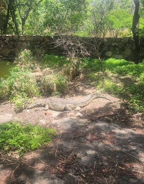 Community training and empowerment